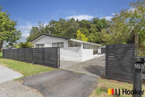 Photo of property in 183 Titi Road, Mauku, Pukekohe, 2678