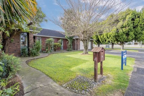 Photo of property in 41 Marlborough Street, Levin, 5510