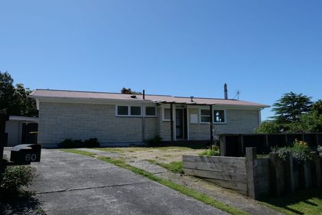 Photo of property in 60 Riwai Street, Paraparaumu, 5032