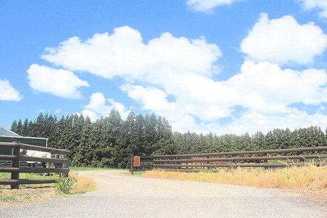 Photo of property in 191 No 2 Road, Te Puke, 3182