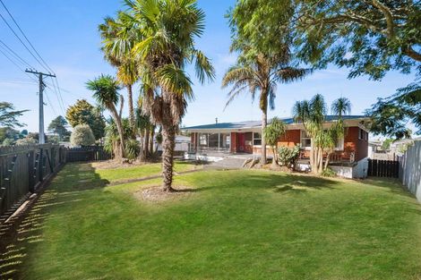 Photo of property in 3 Halberg Street, Papakura, 2110