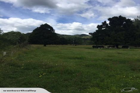 Photo of property in 393 Wentworth Valley Road, Whangamata, 3691