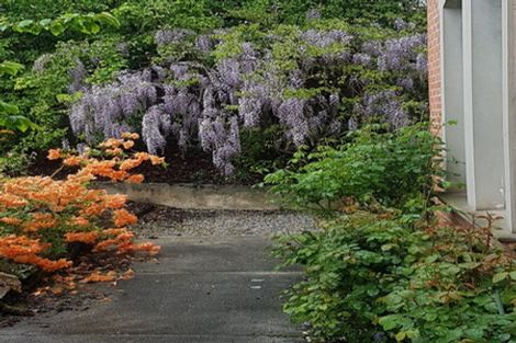 Photo of property in 20 Peel Street, Lawrence, 9532