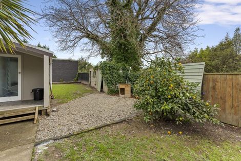 Photo of property in 36 Tui Street, Pahiatua, 4910