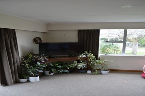 Photo of property in 34 Brydon Street, Renwick, 7204