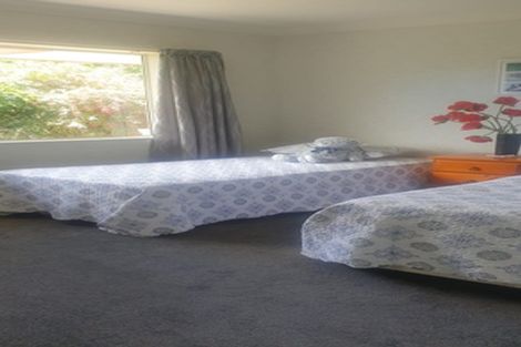 Photo of property in 21 Awaroa Stream Drive, Waiuku, 2123