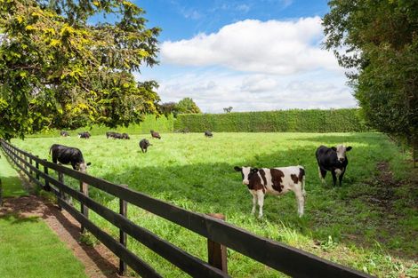 Photo of property in 1503 Alexandra Road, Waharoa, 3474