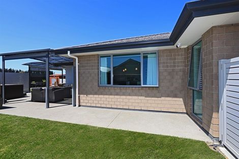 Photo of property in 20 Lochhead Street, Mahora, Hastings, 4120