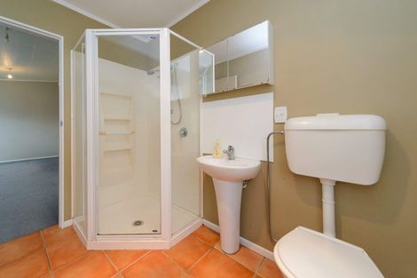 Photo of property in 97 Pitt Street, Palmerston North, 4410