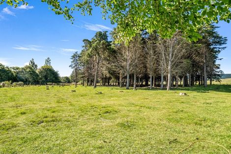 Photo of property in 260 Kaiwhaiki Road, Kaiwhaiki, Whanganui, 4575