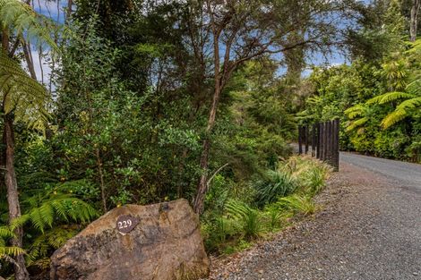 Photo of property in 229 Kokako Heights, Matata, 3194