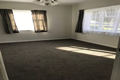Photo of property in 13 Massey Avenue, Greenlane, Auckland, 1061