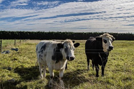 Photo of property in 1891 Oxford Road, Cust, 7471