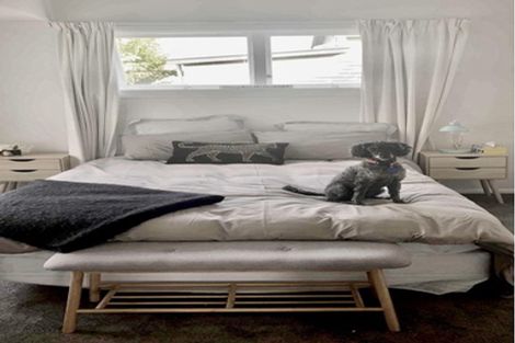 Photo of property in 17 Iwa Street, Mapua, 7005