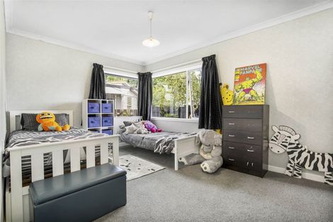 Photo of property in 27 Rossiter Place, Chartwell, Hamilton, 3210