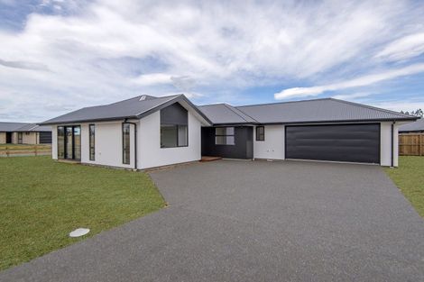 Photo of property in 26 Rosalind Avenue, Darfield, 7510