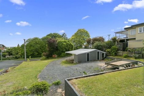 Photo of property in 20 Terrace Street, Putaruru, 3411