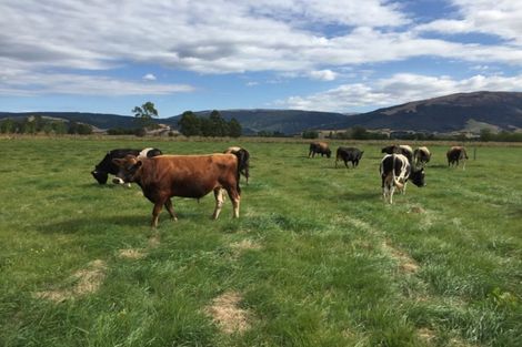 Photo of property in 258 Henley-berwick Road, Henley, Outram, 9073