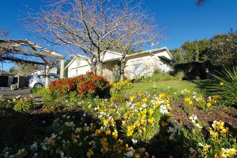 Photo of property in 20 Cinnabar Place, Westgate, Auckland, 0614