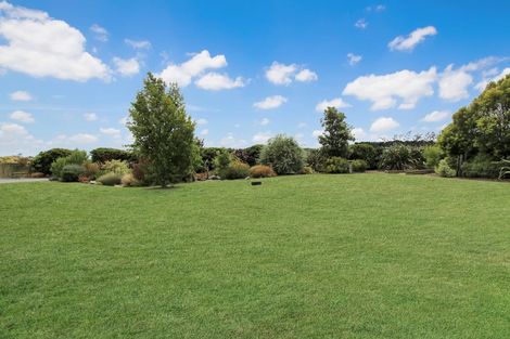 Photo of property in 24 Bergin Road, Foxton, 4814