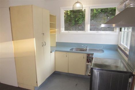 Photo of property in 29 Durham Street, Aro Valley, Wellington, 6021