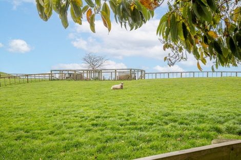 Photo of property in 374 Morgan Road, Matamata, 3472