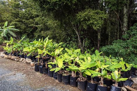 Photo of property in 304 Mangakahia Road, Maungatapere, Whangarei, 0179