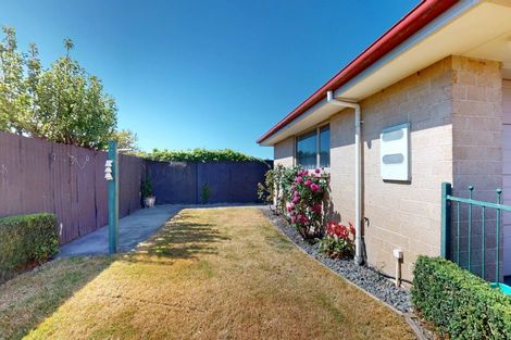 Photo of property in 6a Oxford Street, Hampstead, Ashburton, 7700