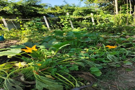 Photo of property in 55 Williamson Avenue, Belmont, Auckland, 0622