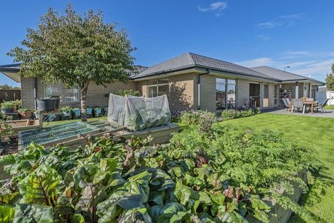 Photo of property in 47 Navy Loop, Rolleston, 7614