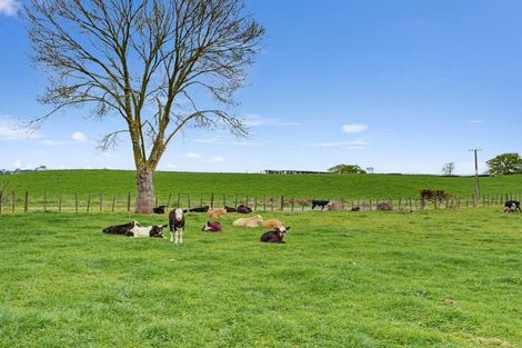 Photo of property in 169 Brotherhood Road, Kihikihi, Te Awamutu, 3875