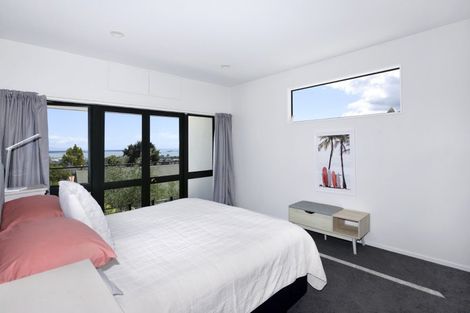 Photo of property in 16 Windleborn Place, Richmond, 7020