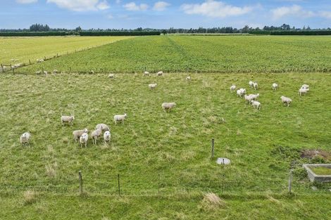 Photo of property in 270 Stokes Road, Balcairn, Amberley, 7481