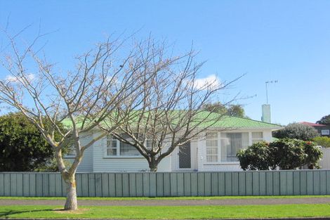 Photo of property in 51 George Street, Levin, 5510