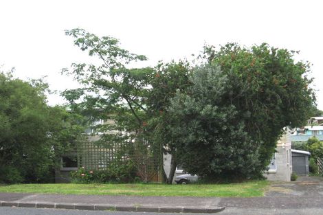 Photo of property in 18 Haycock Avenue, Mount Roskill, Auckland, 1041