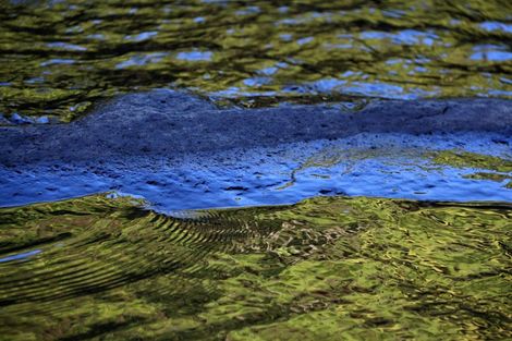 Photo of property in 1052 Wekaweka Road, Waimamaku, Kaikohe, 0473