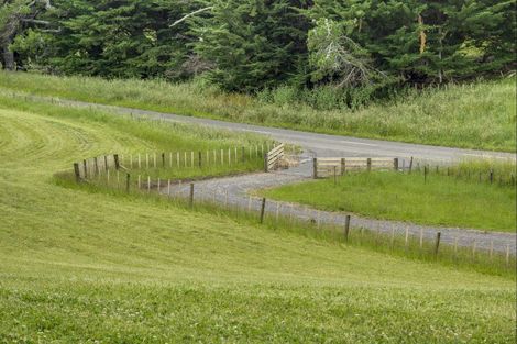 Photo of property in 812 Whakapirau Road, Whakapirau, Maungaturoto, 0583