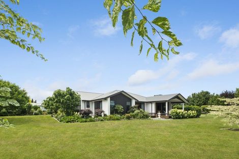 Photo of property in 41 Eldonwood Drive, Matamata, 3400