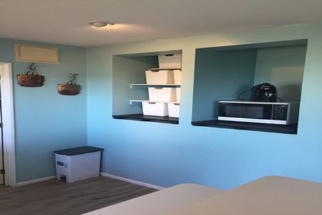 Photo of property in 17 Selleck Street, Mount Pleasant, Christchurch, 8081