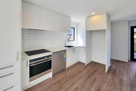 Photo of property in 2/168 Bordesley Street, Phillipstown, Christchurch, 8011