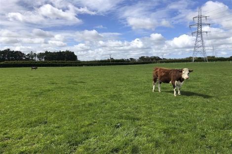 Photo of property in 11a Mill Road North, Mill Road, Invercargill, 9872