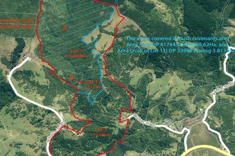 Photo of property in 100 Birdsall Road, Whangateau, Warkworth, 0985