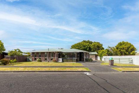 Photo of property in 2 Ashdown Crescent, Feilding, 4702