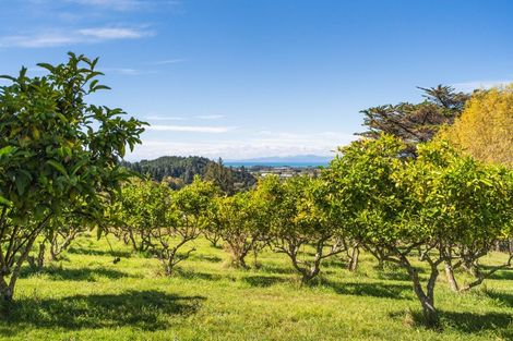 Photo of property in 228 Brooklyn Valley Road, Brooklyn, Motueka, 7198