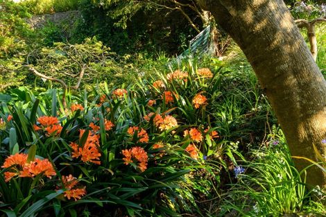 Photo of property in 160 Grace Road, Tauranga South, Tauranga, 3112