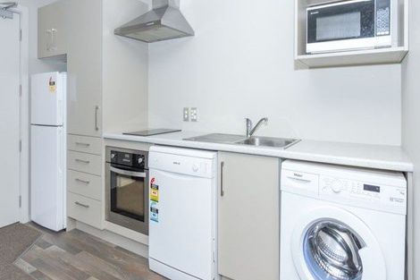 Photo of property in 58 Willoughby Street, Whitiora, Hamilton, 3200