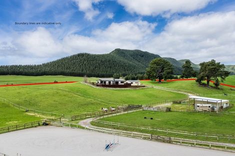 Photo of property in 39 Kilkenny Way, Broadlands, Reporoa, 3081