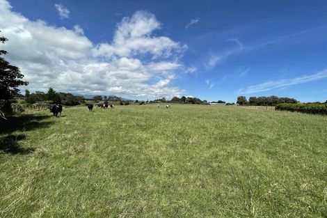 Photo of property in 187 Smart Road, Hillsborough, New Plymouth, 4372