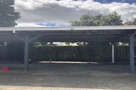 Photo of property in 3a Montgomery Street, Levin, 5510