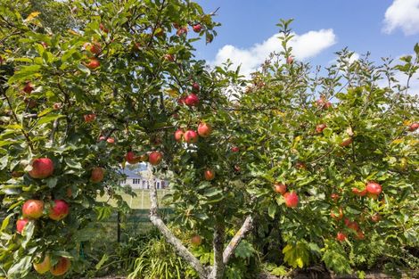 Photo of property in 127 North Street, Ashhurst, 4810